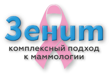 Zenit Logo